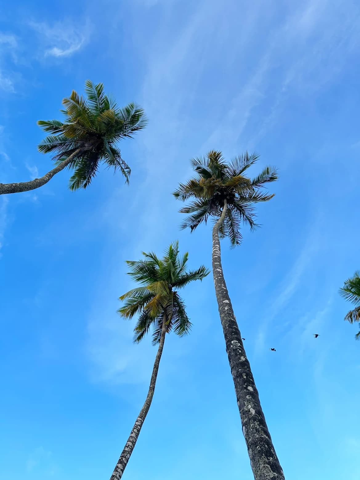 Featured image for Mental Health Awareness blog post